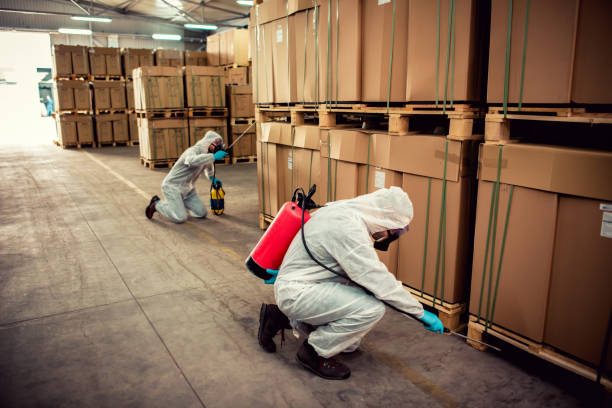 Best Pest Control Near Me in Carterville, MO