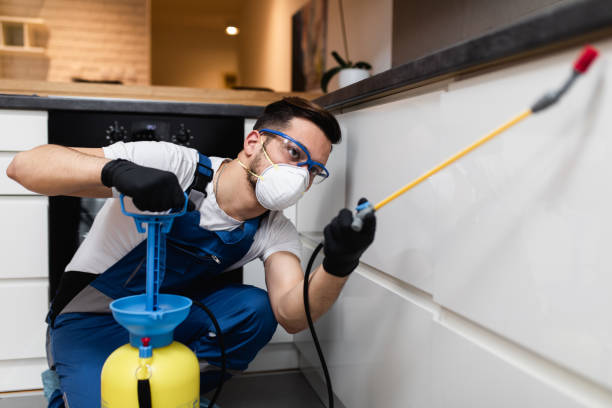 Best Pest Control Treatment  in Carterville, MO