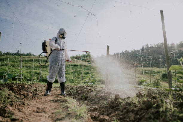 Best Best Pest Control Companies  in Carterville, MO