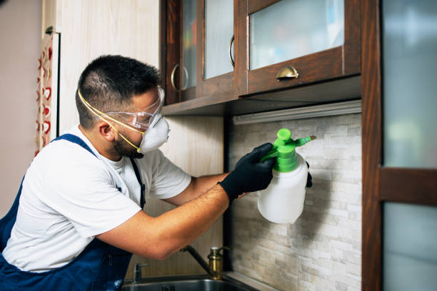 Best Termite Control Services  in Carterville, MO