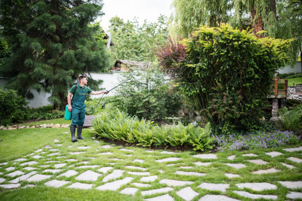 Best Pest Removal Services  in Carterville, MO