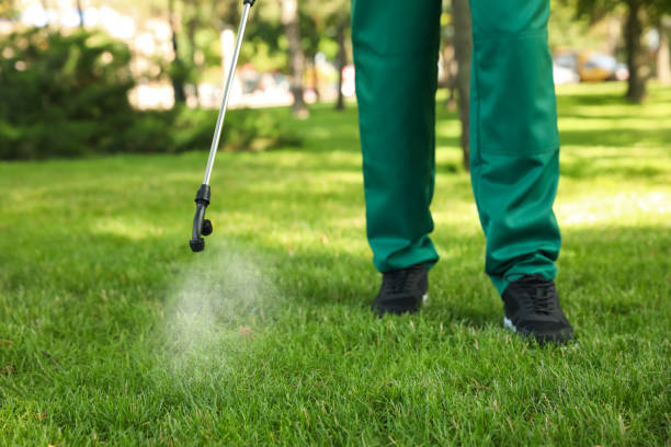 Best Pest Inspection Near Me  in Carterville, MO