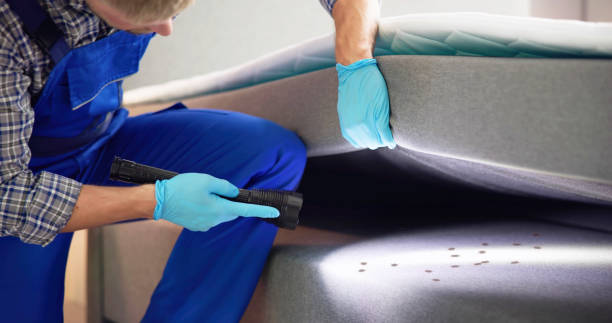 Best Best Pest Control Companies  in Carterville, MO
