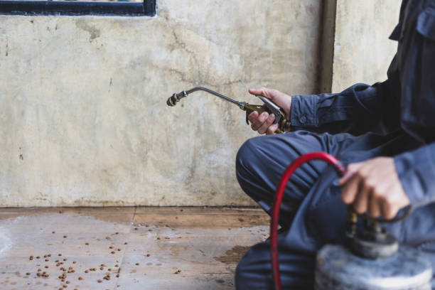 Best Local Pest Control Services  in Carterville, MO