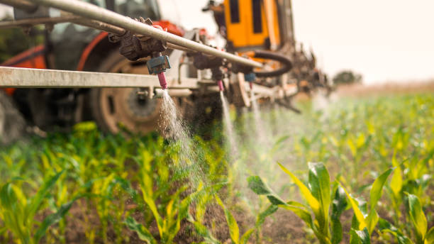 Best Wildlife Control Services  in Carterville, MO